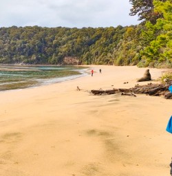 5. Wide angle beach shot Ulva Island