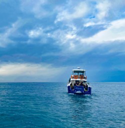 5. Dolphin swim boat