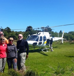 Helicopter Tour at Hollyford Valley