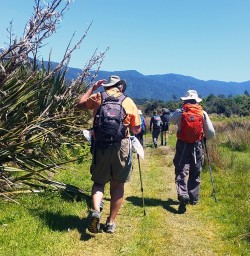Hiking at Martins Bay
