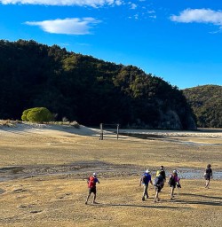 Able Tasman National Park walking tours 