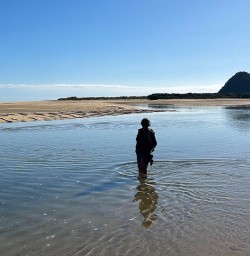 Able Tasman National Park walking tours