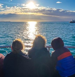 Animal watching in Kaikoura 