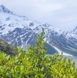 Aoraki Mount Cook adventure tour