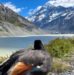Aoraki Mount Cook National Park Adventure 25 December 2024 8