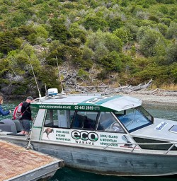 Boat ride to Mou Waho Island