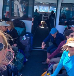 Boat tour to Queen Charlotte Sound