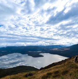 Bushline Hut walking tours 