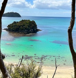 Crystal clear waters of Stewart Island