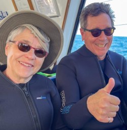 6 Dolphin Swim Tour Kaikoura 17FEB25