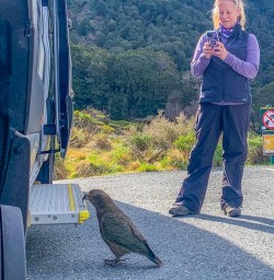 Driving to Aoraki Mount Cook New Zealand tour