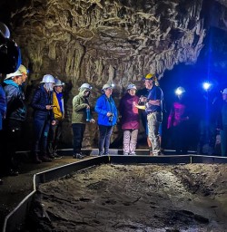 Explore Waitomo Glowworm Caves