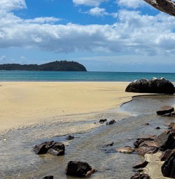 Exploring Stewart Island with New Zealand Trails 