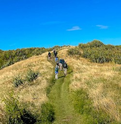 Godley Heads walking and adventure tours 