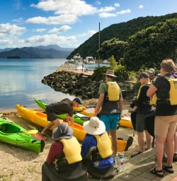 6 Guests getting ready to kayak