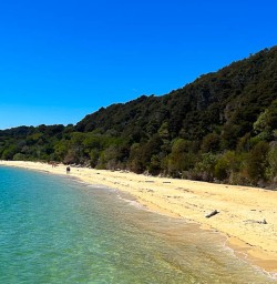 Guide tours of Able Tasman National Park