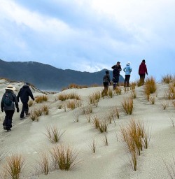 Hiking tour of New Zealands West Coast