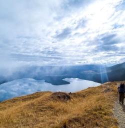 Hiking tours to Bushline Hut