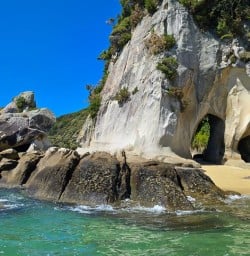 In Kaikoura