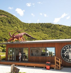 6 Karaka Lobster shack2