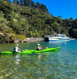 Kayak Queen Charlotte Sound Marlborough Vineyards 09 December 2024 2