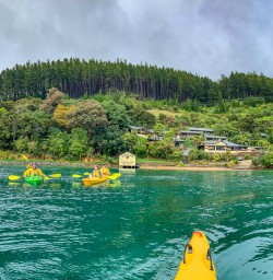 Kayaking from Lochmara Lodge