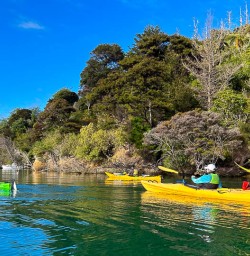 Kayaking tours in New Zealand 