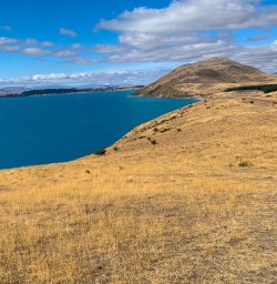 Lake Tekapo walking tours 
