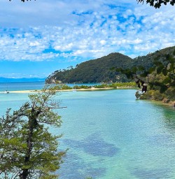 Magnificent coastline in Able Tasman National Park