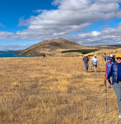 6 Mount John Summit hiking tours