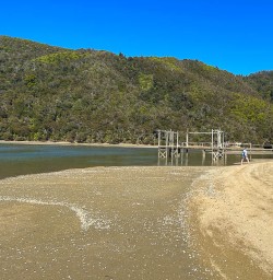 New Zealand walking tours 