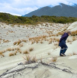 New Zealands magnificent West Coast