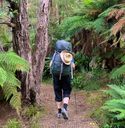 Nydia Bay hiking and adventure tours 
