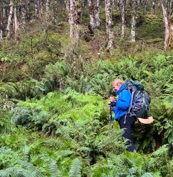 Nydia Bay in New Zealand 