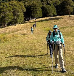 Nydia Track to Nydia Lodge