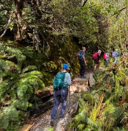 Pelorus Sound to Nelson 02 December 24