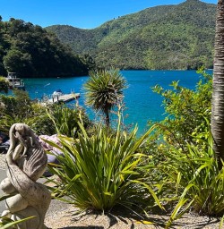 Queen Charlotte Sound 18 November 2024 2