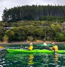 Queen Charlotte Sound 18 November 2024 4