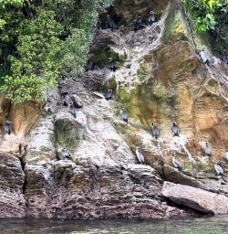 Queen Charlotte Sound 18 November 2024 6