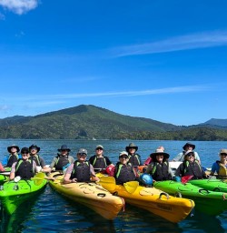 Queen Charlotte Sound Marlborough Vineyards 02 December 2024 4