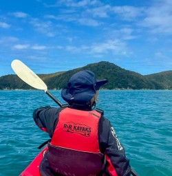 Queen Charlotte Sound Marlborough Vineyards 11 November 2024 2