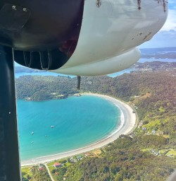 Small group tour to Stewart Island 