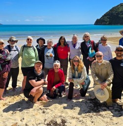 Swim with or watch dolphins in Kaikoura
