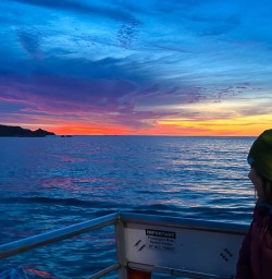 Swimming with dolphins in Kaikoura