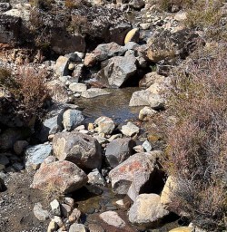 Tongariro National Park2
