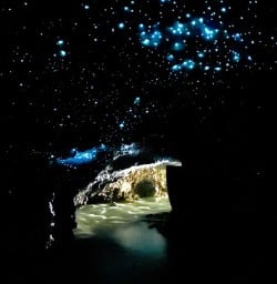Waitomo Glowworm Caves2