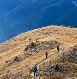 Walking tours to Nelson Lakes National Park