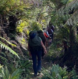 Walking and adventure tours on Nydia Track 