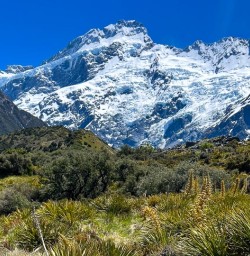 Your Choice in Aoraki Mount Cook National Park 18 November 2024 3