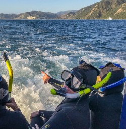 About to swim with dolphins at Kaikoura, Canterbury New Zealand